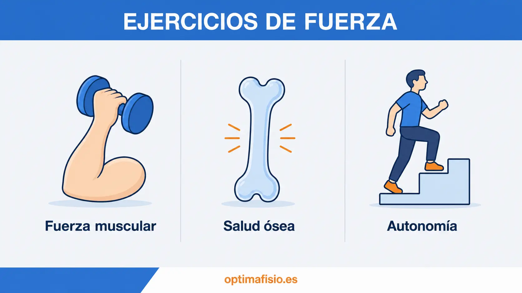 Infografía de Optimafisio sobre tres beneficios del ejercicio de fuerza: fuerza muscular, salud ósea y autonomía.