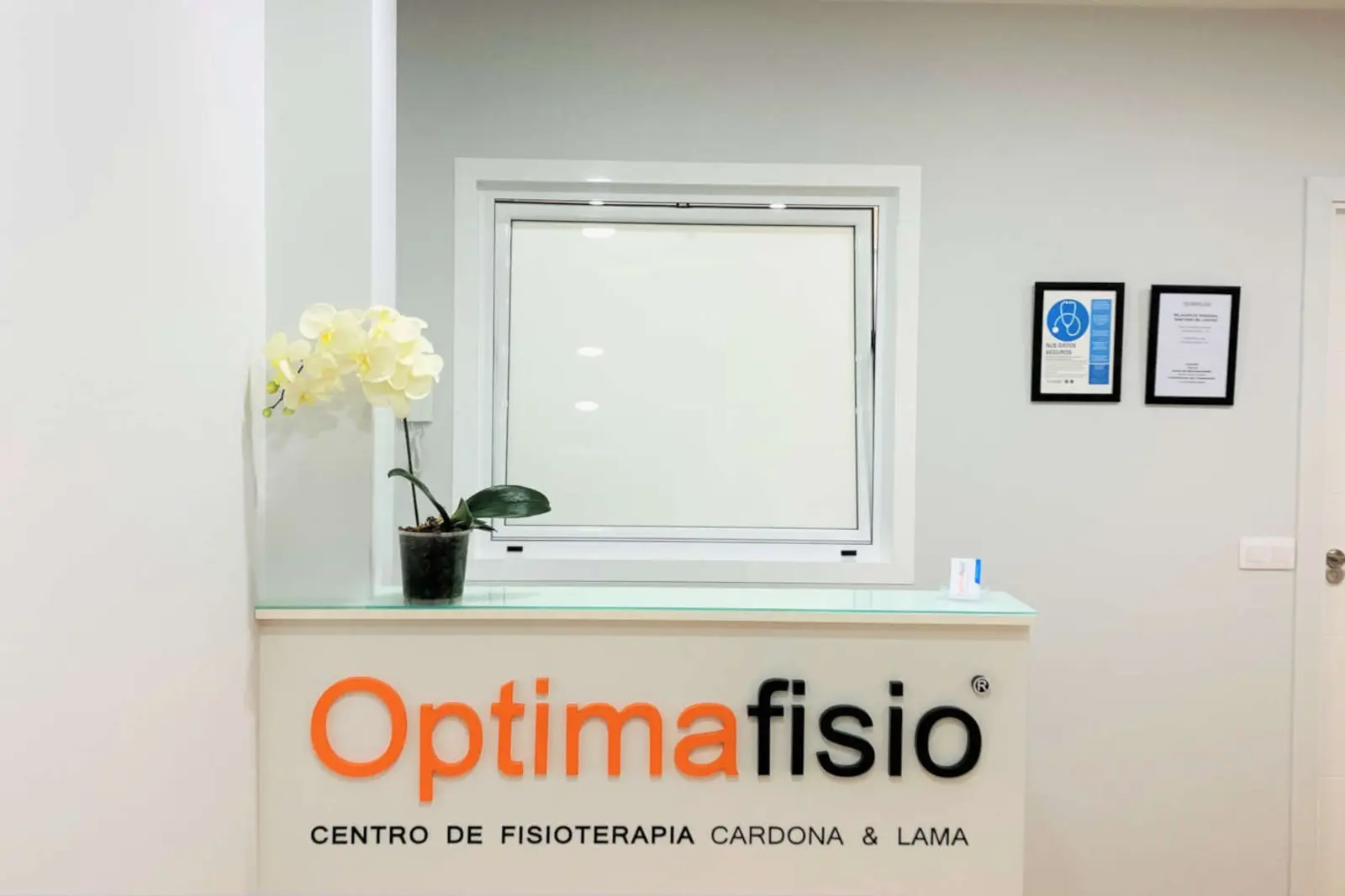 Recepción de OPTIMAFISIO en la calle Olof Palme